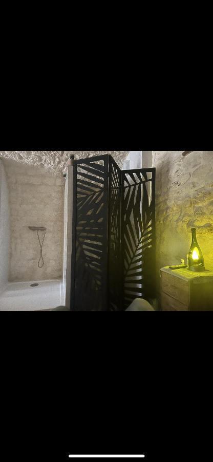 Voute Des Anges Type Loft Sans Cloison *